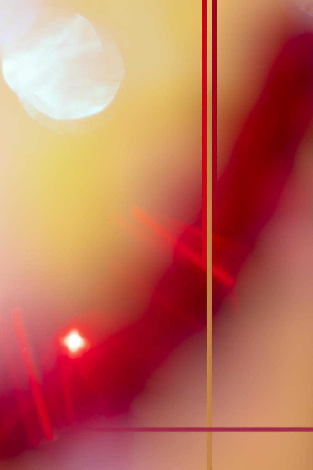 bfa exhibition 2021 zoe shields slide 5